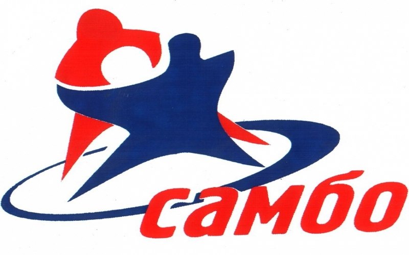 24-28 ноября 2004 года в городе Кстово Нижегородской области на коврах Всемирной Академии самбо был разыгран Кубок России по самбо среди мужчин и женщин.